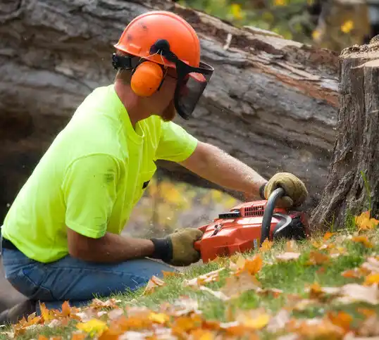 tree services Towner